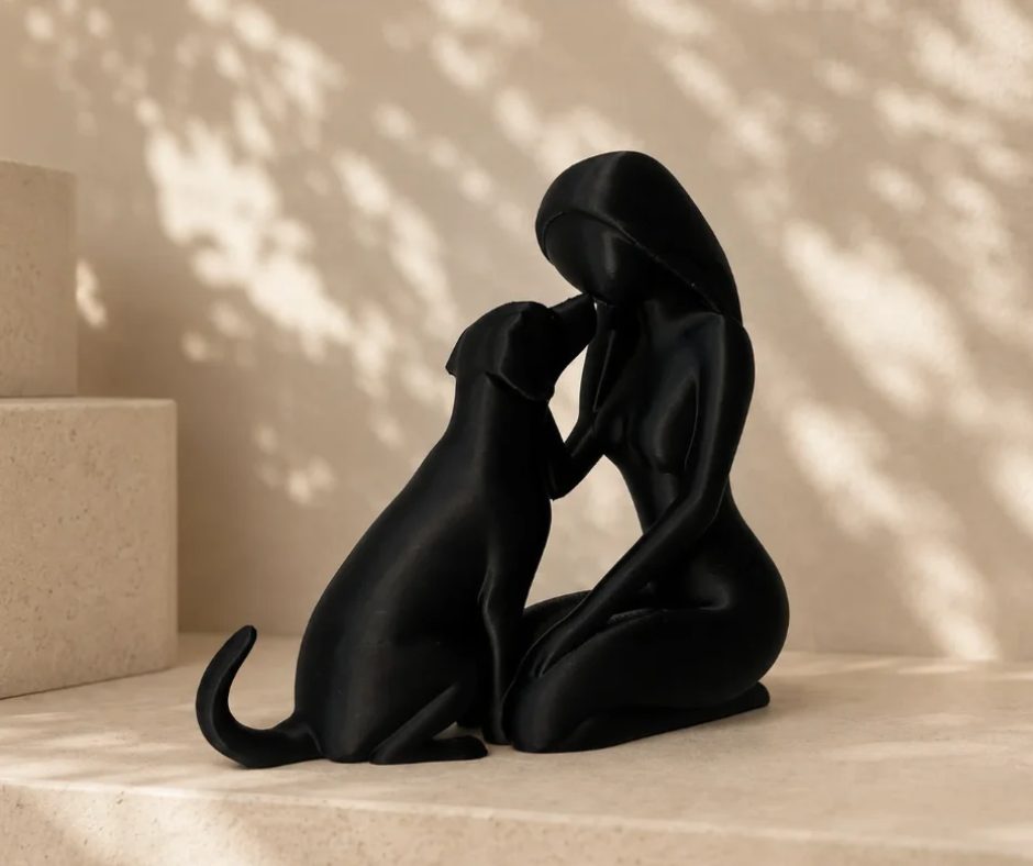 Le Dévoué, coloris Noir, collection Intemporels